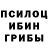 Галлюциногенные грибы Psilocybe Jake Graham